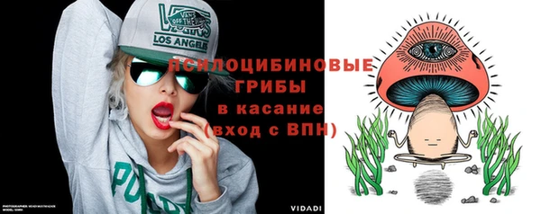 трава Новозыбков