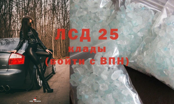 PSILOCYBIN Новокубанск