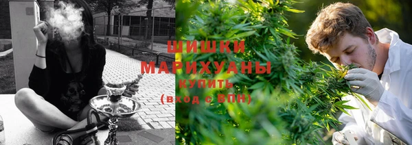 PSILOCYBIN Новокубанск