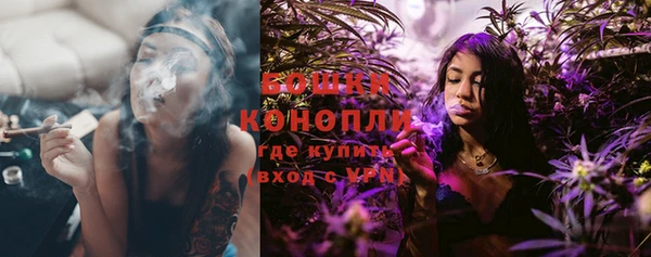 трава Новозыбков
