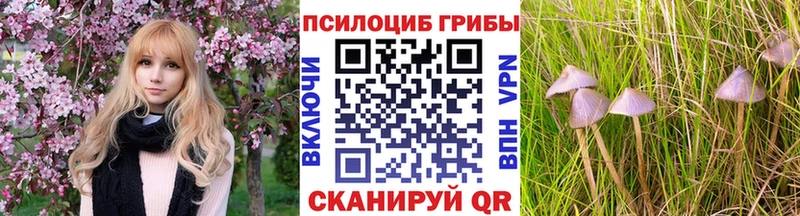 Псилоцибиновые грибы MAGIC MUSHROOMS  Нефтеюганск 